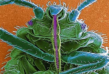 未来游戏展：第一人称心理恐怖游戏《苏醒》预告片